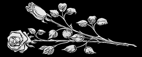 Розы две - картинки для гравировки